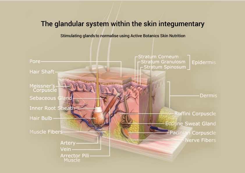 Botrem-Proposal_6 Botrem-Proposal_6