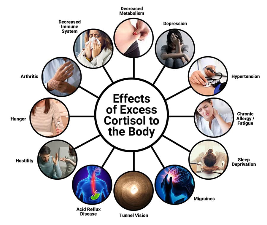 botrem_cortisol_2 botrem_cortisol_2